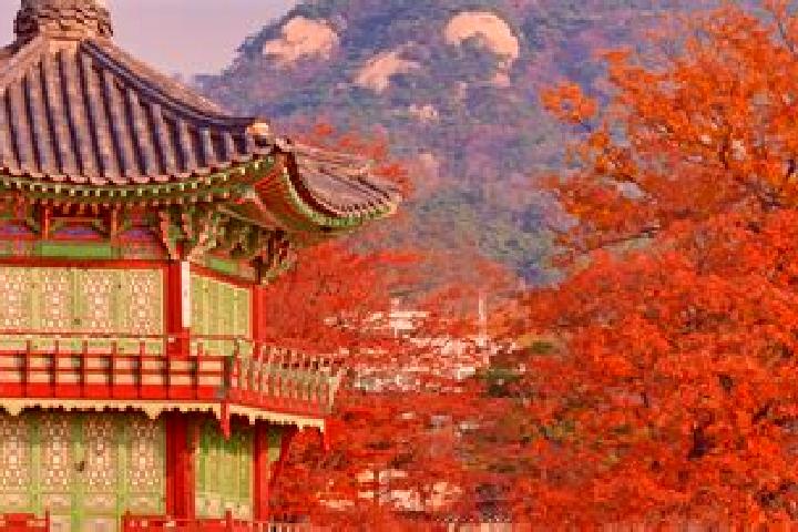 Riley, 31 — Escort in Cheongju-si, South Korea