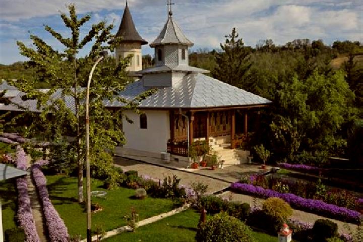 Riley, 31 — Escort in Rachitoasa, Romania