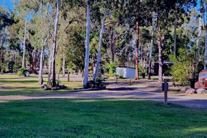 Riley, 32 — Escort in Pie Creek, Australia