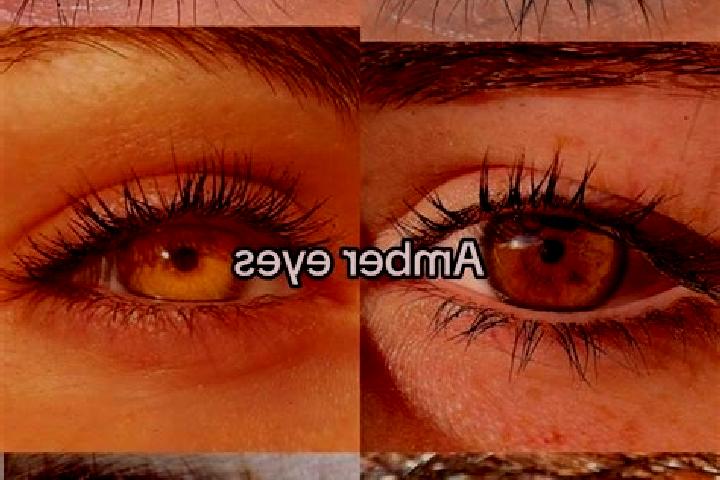 Riley, 33, a chestnut amber-eyed middle eastern companion based in Bovesse. Offering Prostate Massage, Striptease, Domination. Available for incall and outca...
