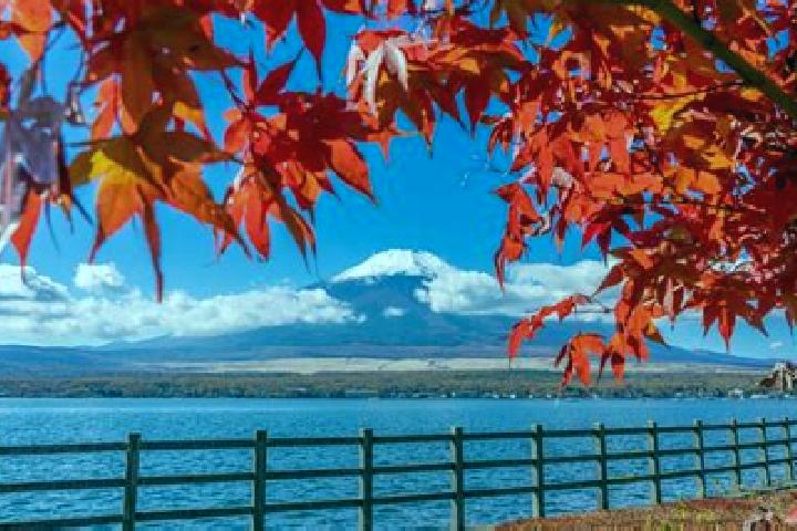Riley, 33 — Escort in Katagiri, Japan