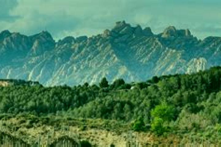 Riley, 33 — Escort in Masquefa, Spain