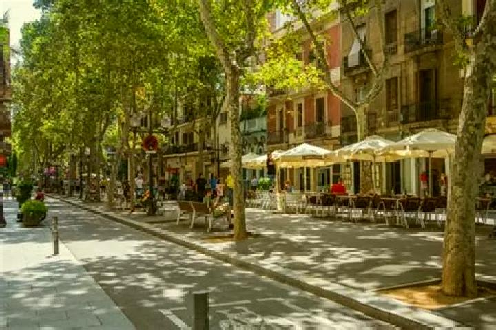 Riley, 33 — Escort in Sant Marti de Centelles, Spain