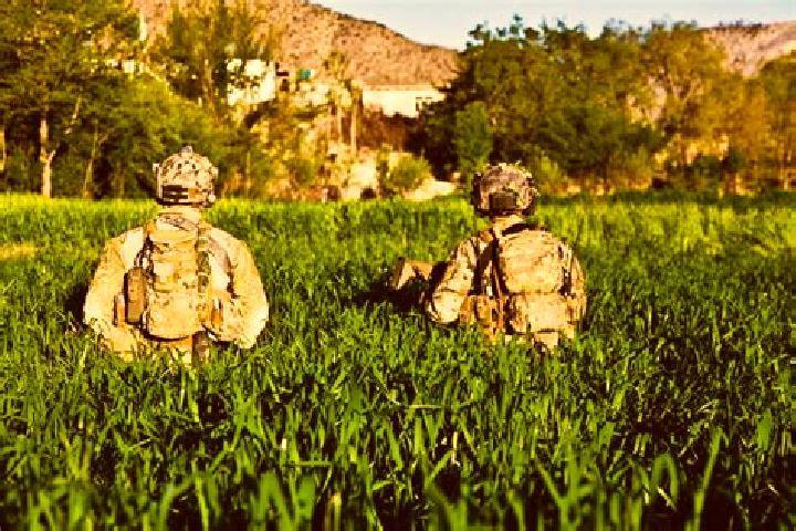 Riley, 33 — Escort in Tsamkani, Afghanistan