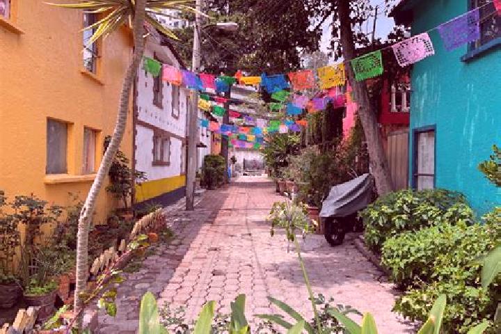 Riley, 34 — Escort in Colonia Palo Prieto (Chipitongo), Mexico