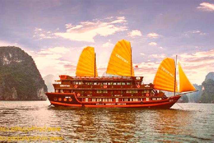 Riley, 34 — Escort in Dalong, China