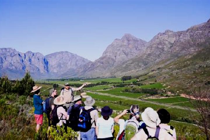 Riley, 35 — Escort in Op-die-Berg, South Africa