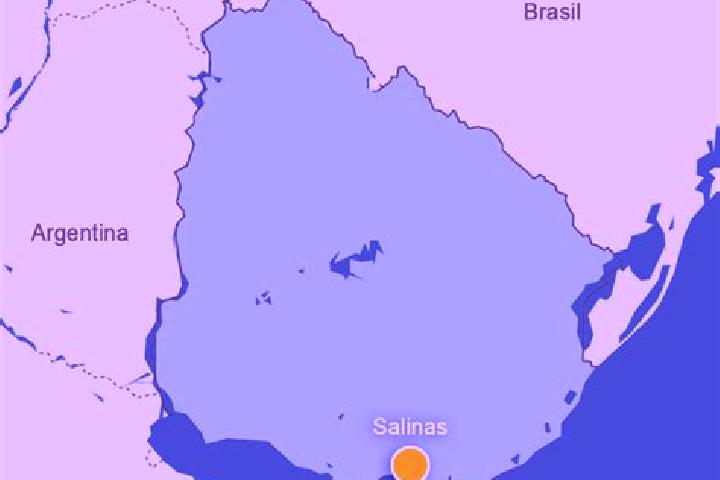 Riley, 35 — Escort in Salinas, Uruguay