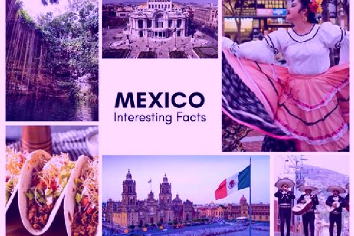 Riley, 35 — Escort in Tolosa, Mexico