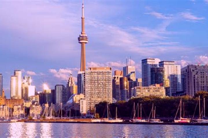 Riley, 35 — Escort in Toronto, Australia
