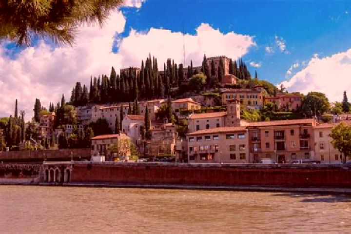 Riley, 36 — Escort in Castel San Pietro, Switzerland