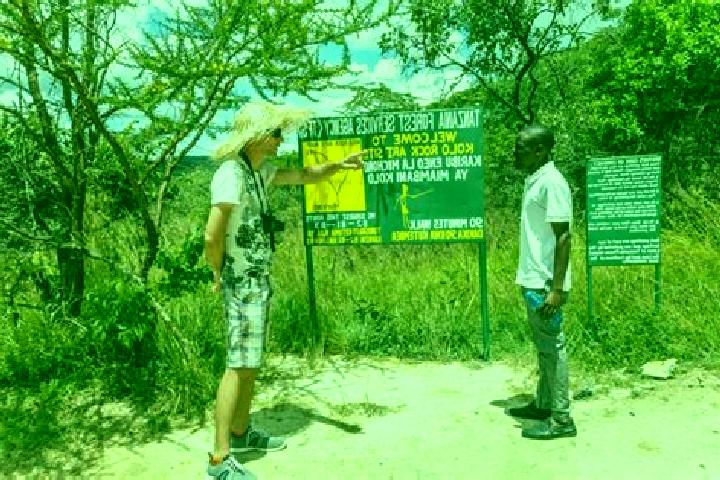 Riley, 36 — Escort in Kondoa, Tanzania