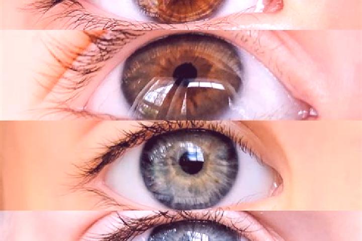 Riley, 37, a chestnut grey-eyed middle eastern companion based in Trasadingen. Offering Girlfriend Experience, A-Level, OWO, Dinner Date. Available for incal...