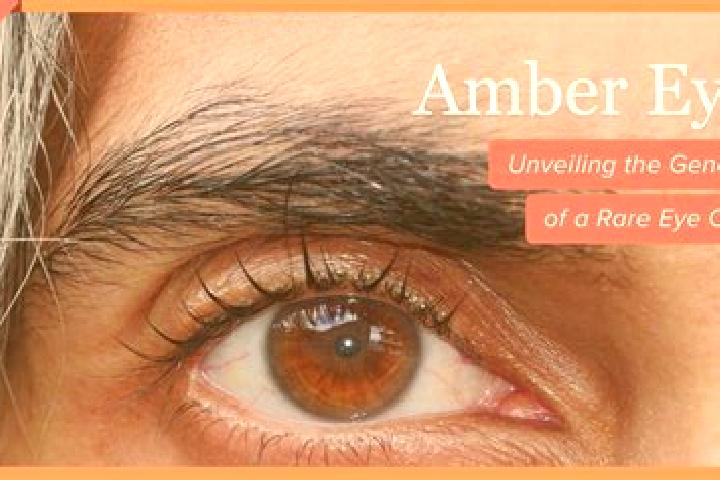 Riley, 37, a red amber-eyed caribbean companion based in Las Ollas Abajo. Offering Erotic Massage, Tantra, Dinner Date, BDSM, Travel Companion. Available for...