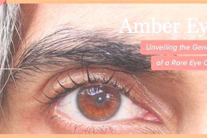 Riley, 37, a red amber-eyed mixed companion based in Castillejos. Offering Dinner Date, Roleplay, Girlfriend Experience. Available for incall and outcall, ov...