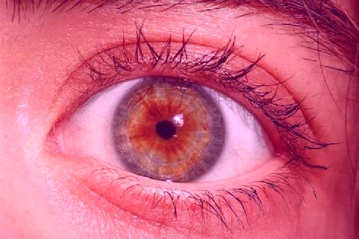 Riley, 37, a red hazel-eyed mediterranean companion based in Marabella. Offering Fetish, BDSM, CIM, Massage, Deep French Kissing. Available for incall and ou...
