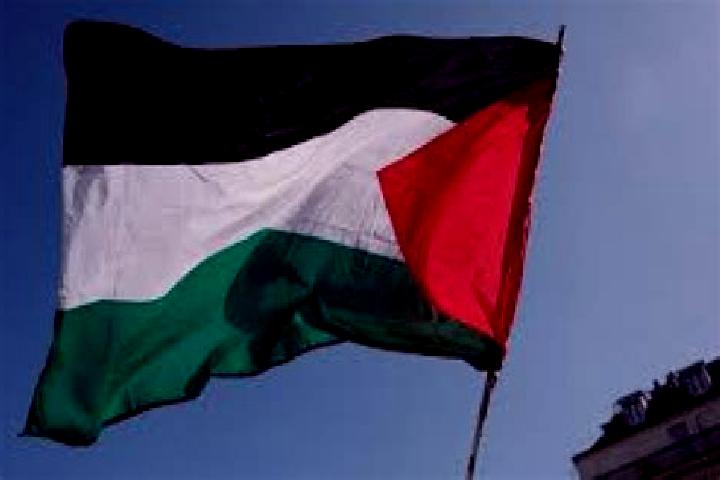 Riley, 37 — Escort in Az Zuwaydah, Palestine