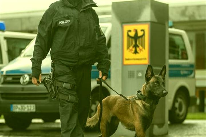 Riley, 37 — Escort in Bei der Hoehne, Germany