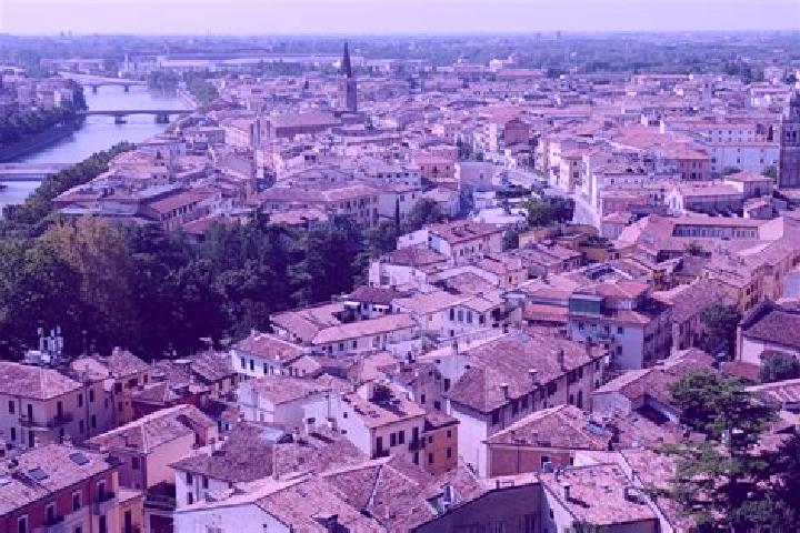 Riley, 37 — Escort in Novi di Modena, Italy
