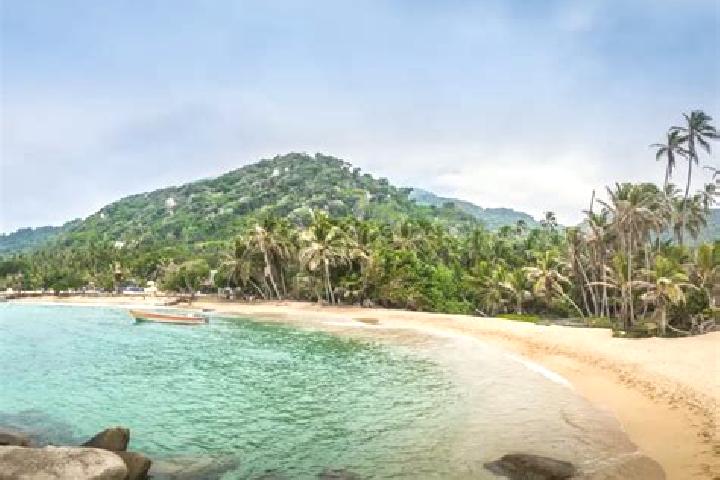 Riley, 37 — Escort in Santa Marta, Panama