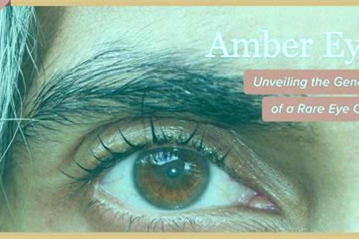 Riley, 38, a black amber-eyed middle eastern companion based in Mamer. Offering Girlfriend Experience, Dinner Date, Overnight. Available for incall and outca...