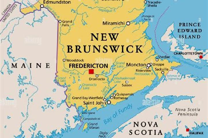 Riley, 38 — Escort in East Brunswick, United States