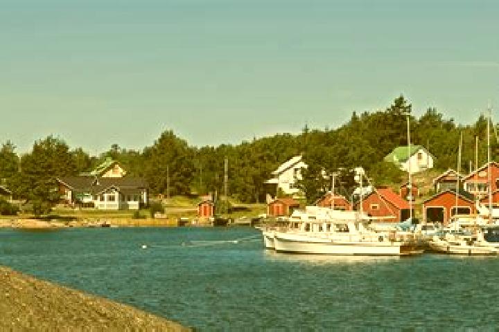 Riley, 38 — Escort in Foegloe, Aland Islands