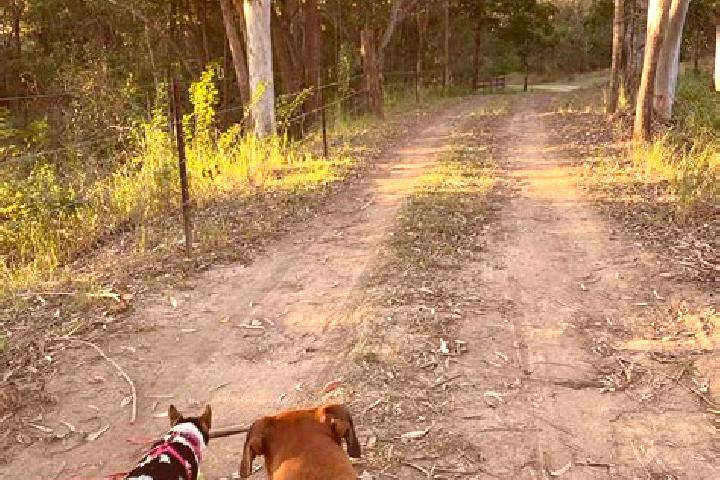 Riley, 38 — Escort in Frenchville, Australia