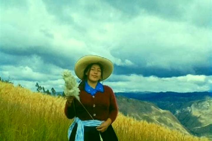 Riley, 38 — Escort in Huangashanga, Peru