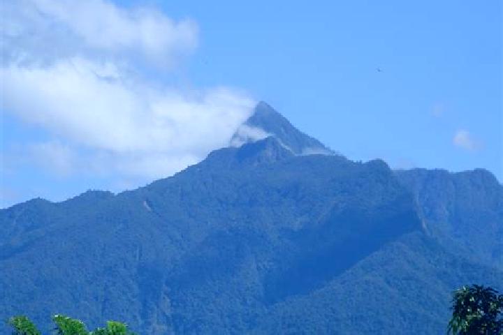 Riley, 38 — Escort in Joconal, Honduras