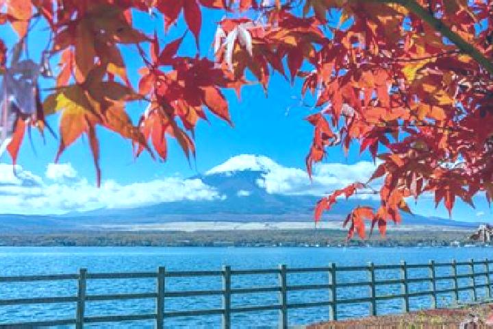 Riley, 38 — Escort in Koriyama, Japan