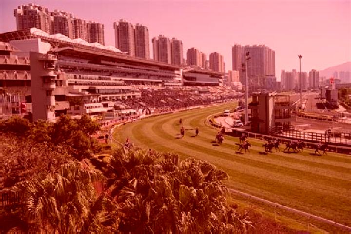 Riley, 38 — Escort in Sha Tin, Hong Kong