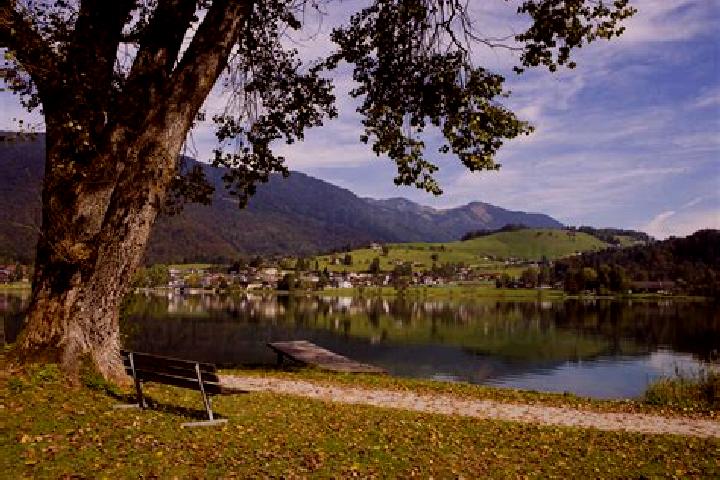 Riley, 38 — Escort in Vorderthiersee, Austria
