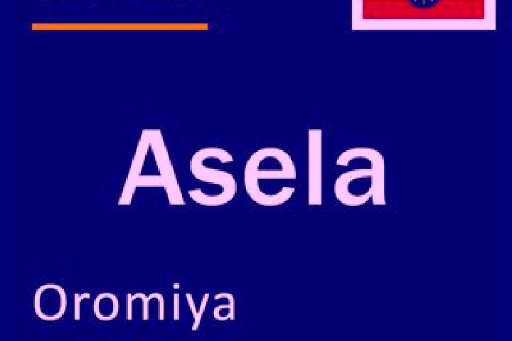 Riley, 39 — Escort in Asela, Ethiopia