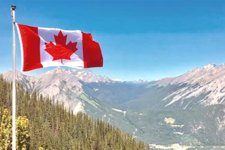 Riley, 39 — Escort in Flatrock, Canada