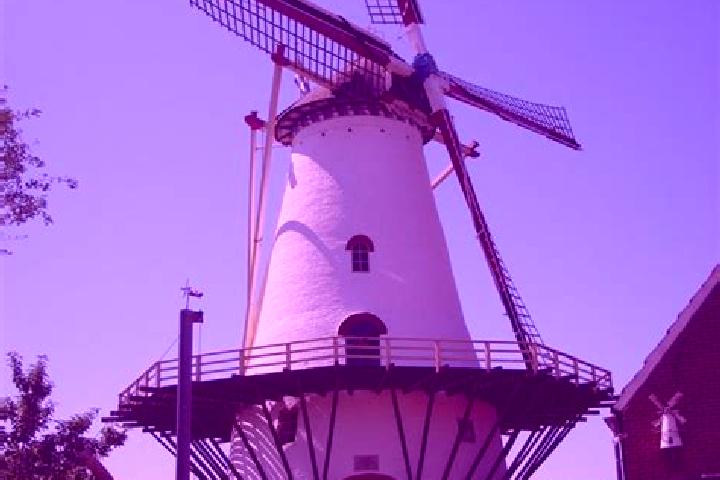 Riley, 39 — Escort in Haamstede, Netherlands