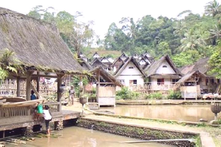 Riley, 39 — Escort in Nangoh Tonggoh, Indonesia