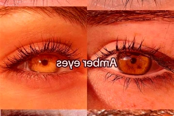 Rose, 20, a chestnut amber-eyed european companion based in Beckington. Offering 69, Fetish, Roleplay, Overnight, A-Level. Available for incall and outcall, ...