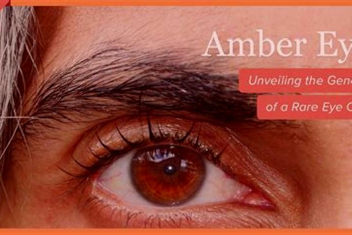 Rose, 20, a red amber-eyed indian companion based in Ashmore. Offering Striptease, Fetish, Overnight. Available for incall and outcall, day and evening dates.