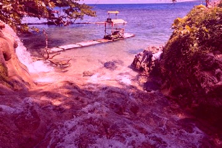 Rose, 20 — Escort in Above Rocks, Jamaica