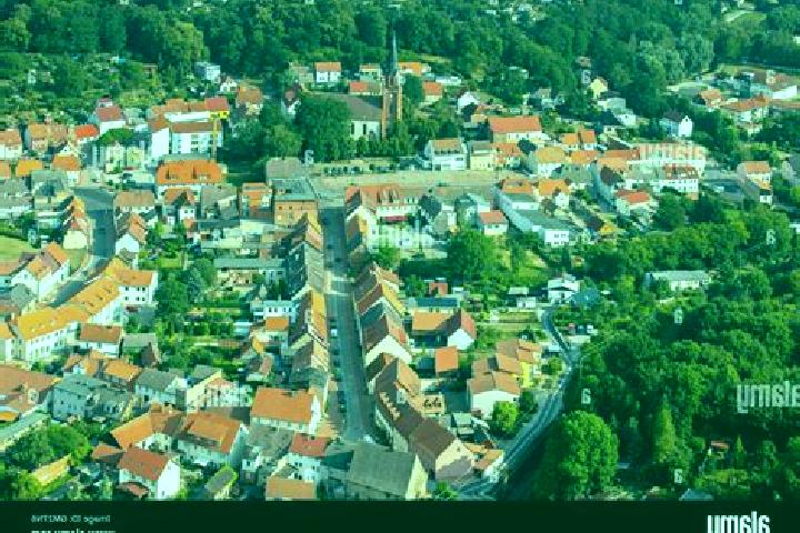 Rose, 20 — Escort in Burg Stargard, Germany