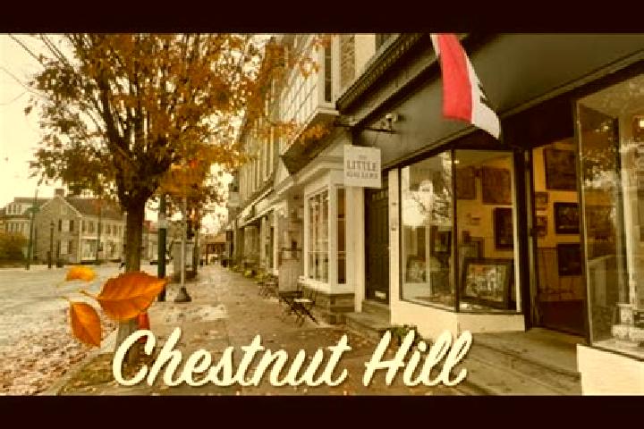 Rose, 20 — Escort in Chestnut Hill, United States