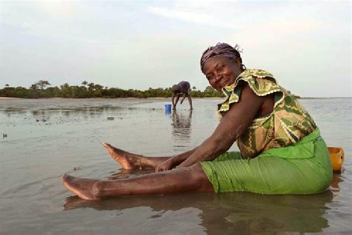 Rose, 20 — Escort in Dingirie, Gambia