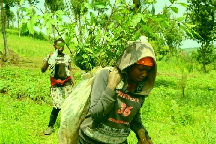 Rose, 20 — Escort in Dundori, Kenya