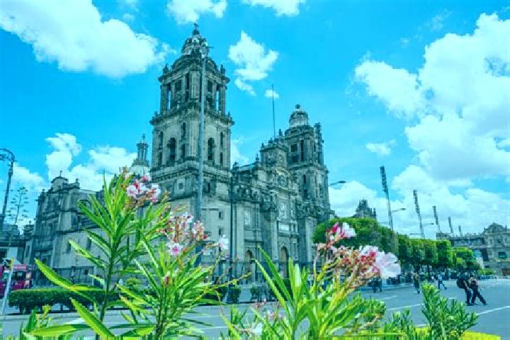 Rose, 20 — Escort in La Tepuza, Mexico