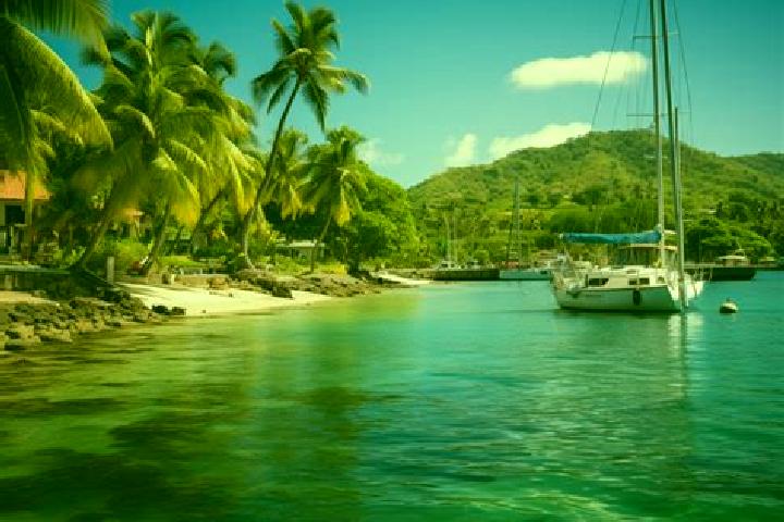 Rose, 20 — Escort in Le Marin, Martinique