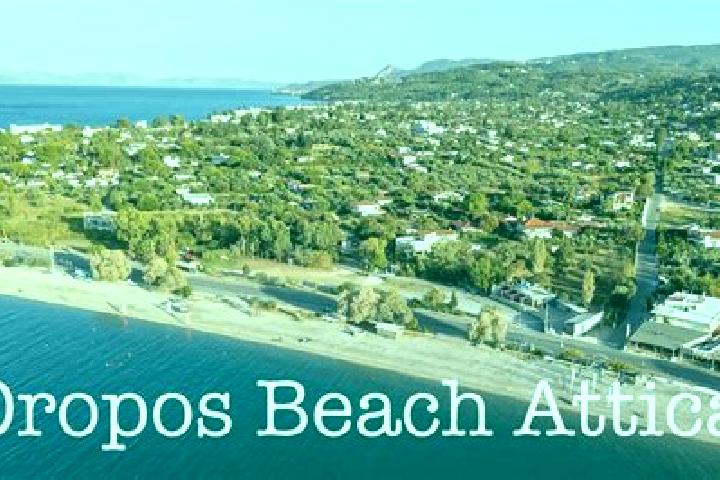 Rose, 20 — Escort in Oropos, Greece