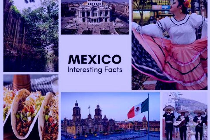 Rose, 20 — Escort in Pich, Mexico