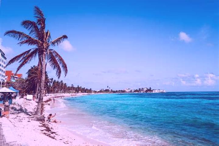 Rose, 20 — Escort in San Andres de la Barana, Mexico