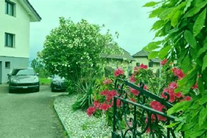 Rose, 20 — Escort in Viuz-la-Chiesaz, France